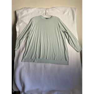 Eileen Fisher Large Fine Tencel Jersey CrewNeck Raglan Sleeves Light Green Top